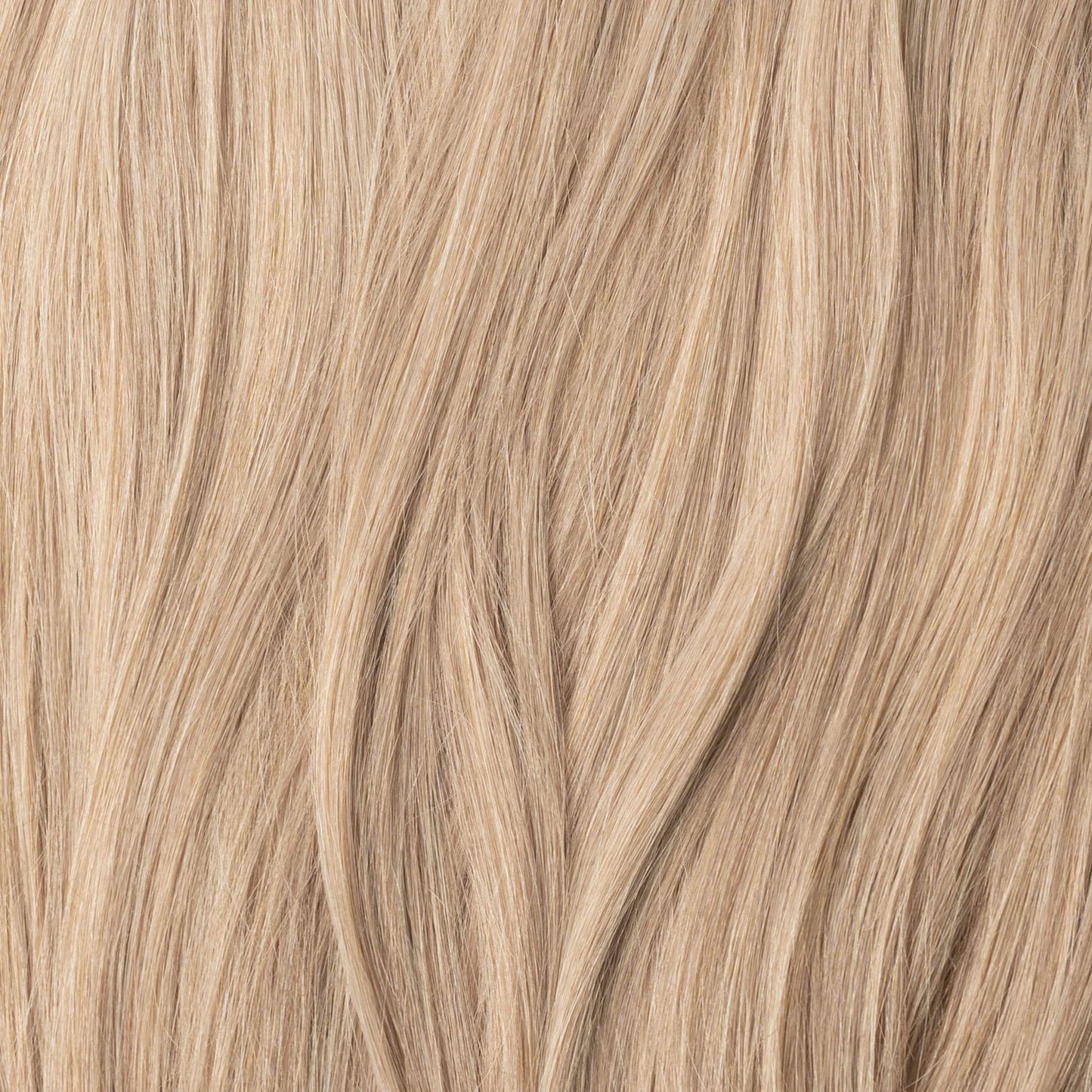 Clip in Ponytail - Beige Blonde 16B