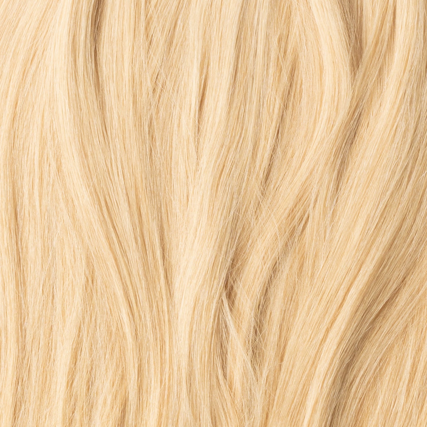 Clip in Ponytail - Light Honey Blonde 22